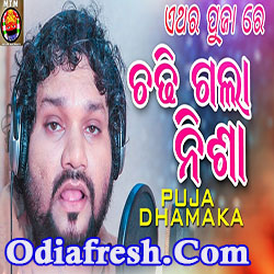 Chadhi Gala Nisha,Odia New Masti Song (Humane Sagar) Puja Dhamaka